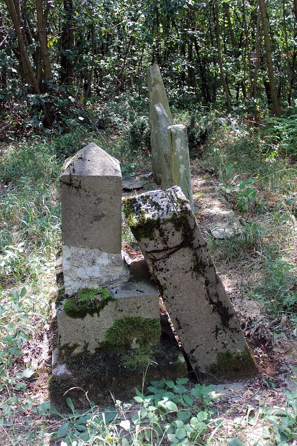 Čokešina