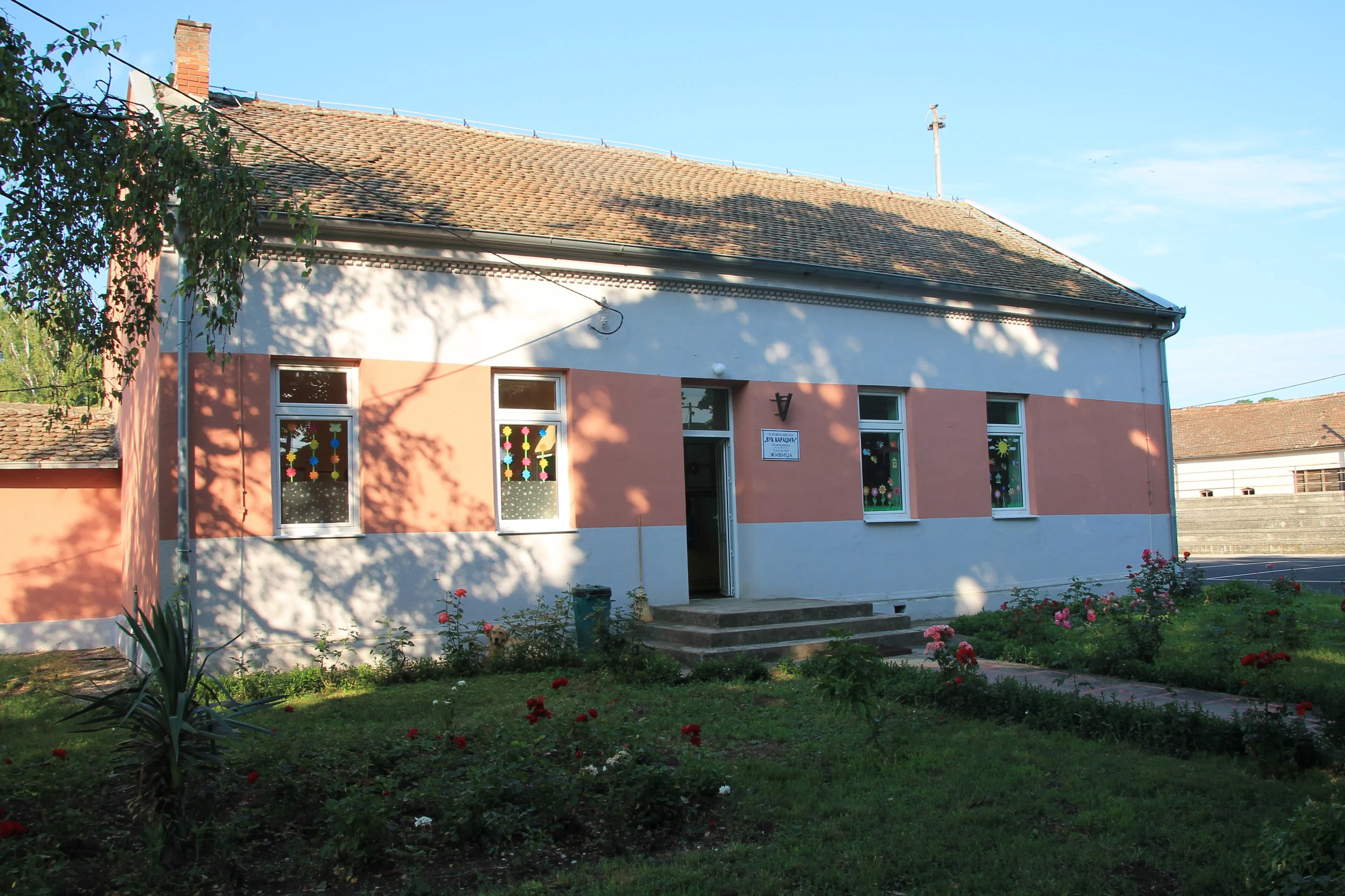 Živica
