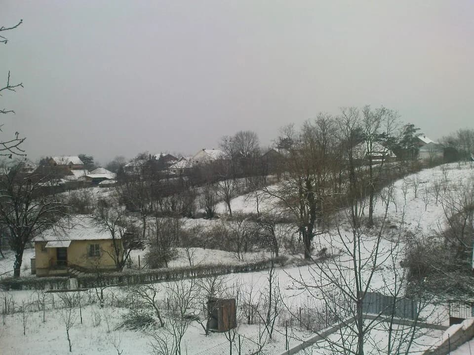 Pinosava
