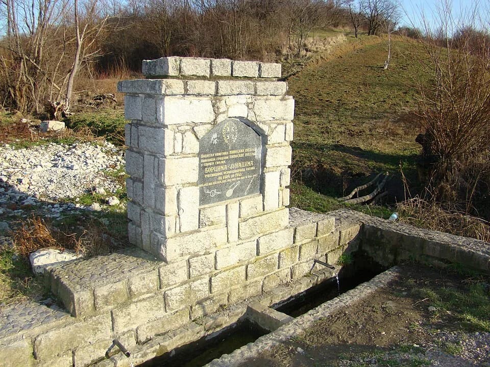 Pinosava