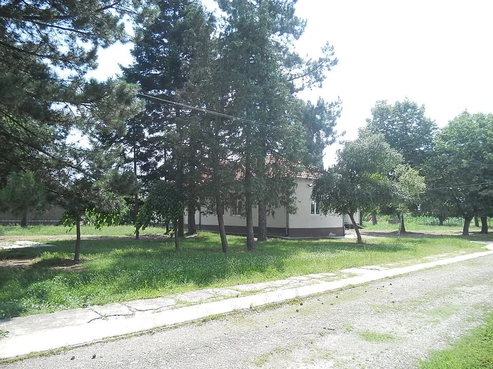 Jelenča