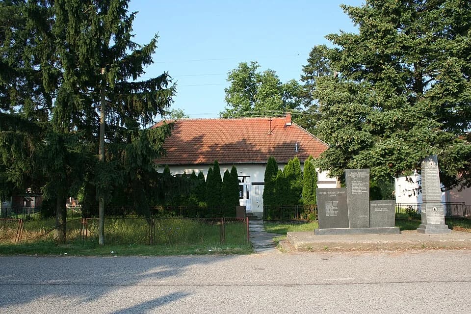 Maovi