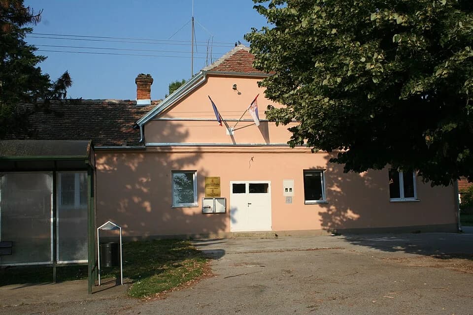 Maovi