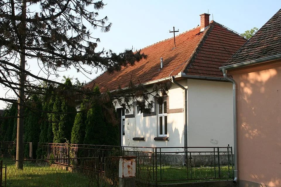 Maovi
