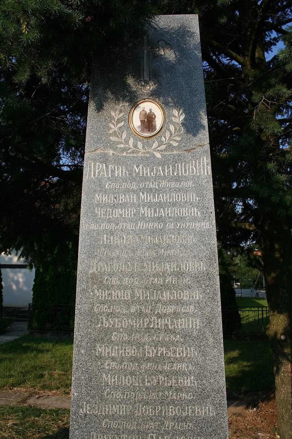 Maovi