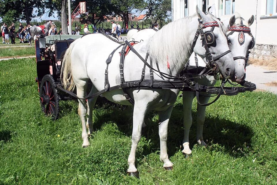 Varna