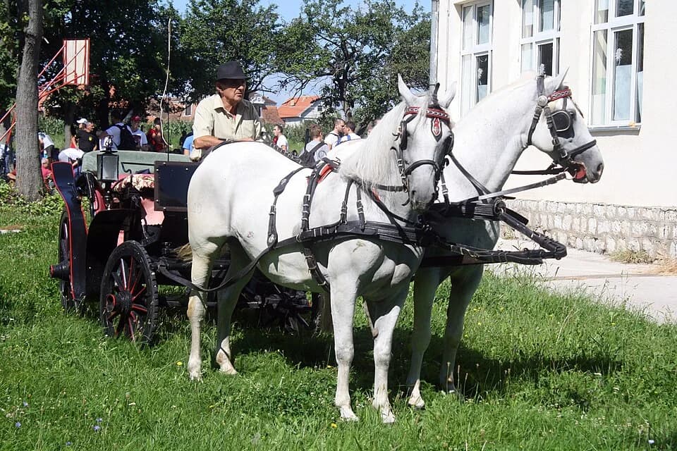 Varna