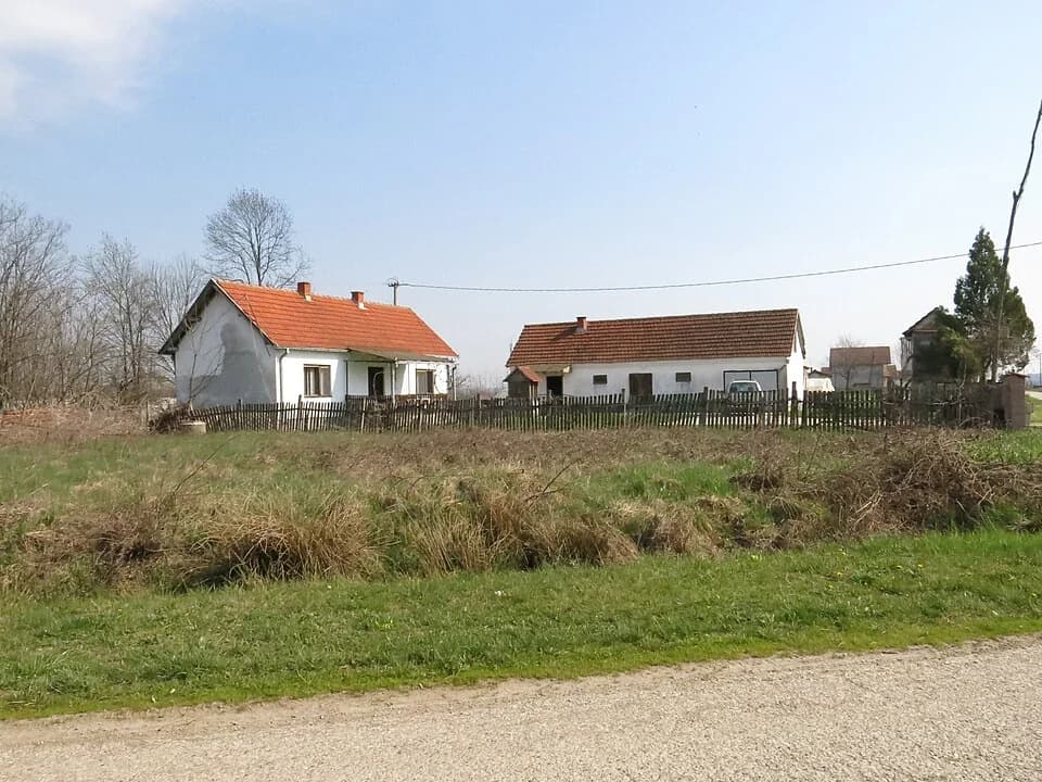 Žabar