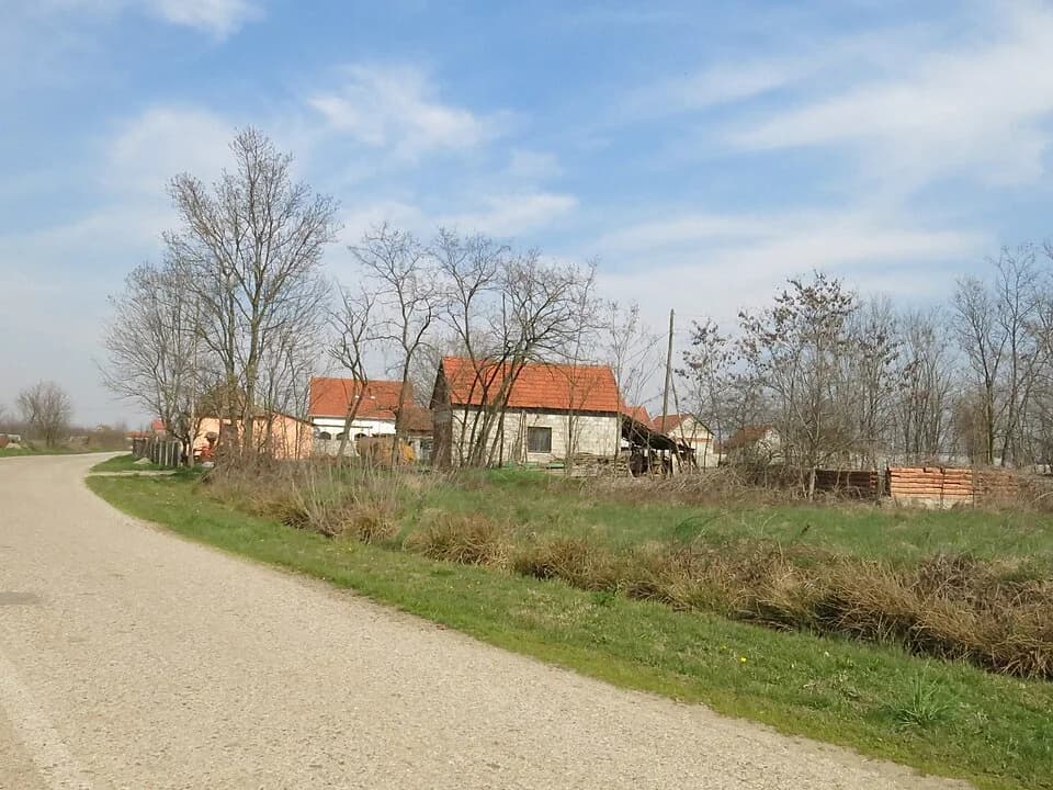 Žabar