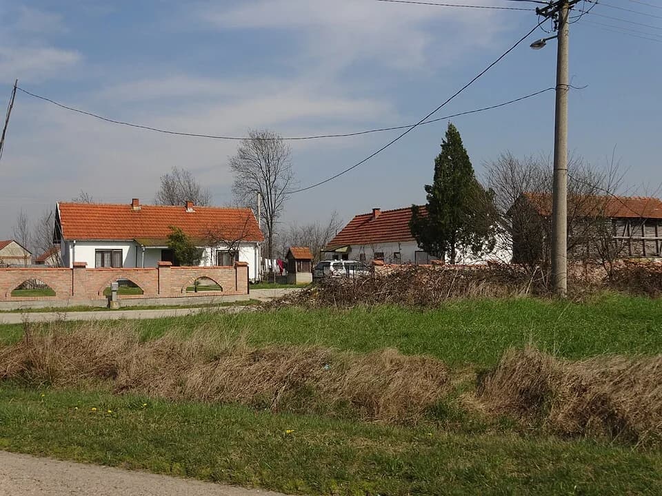 Žabar