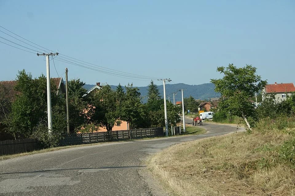 Culjković