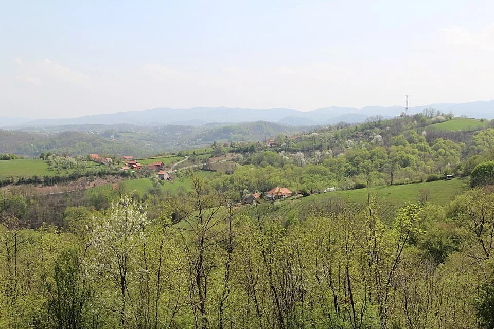 Rovni