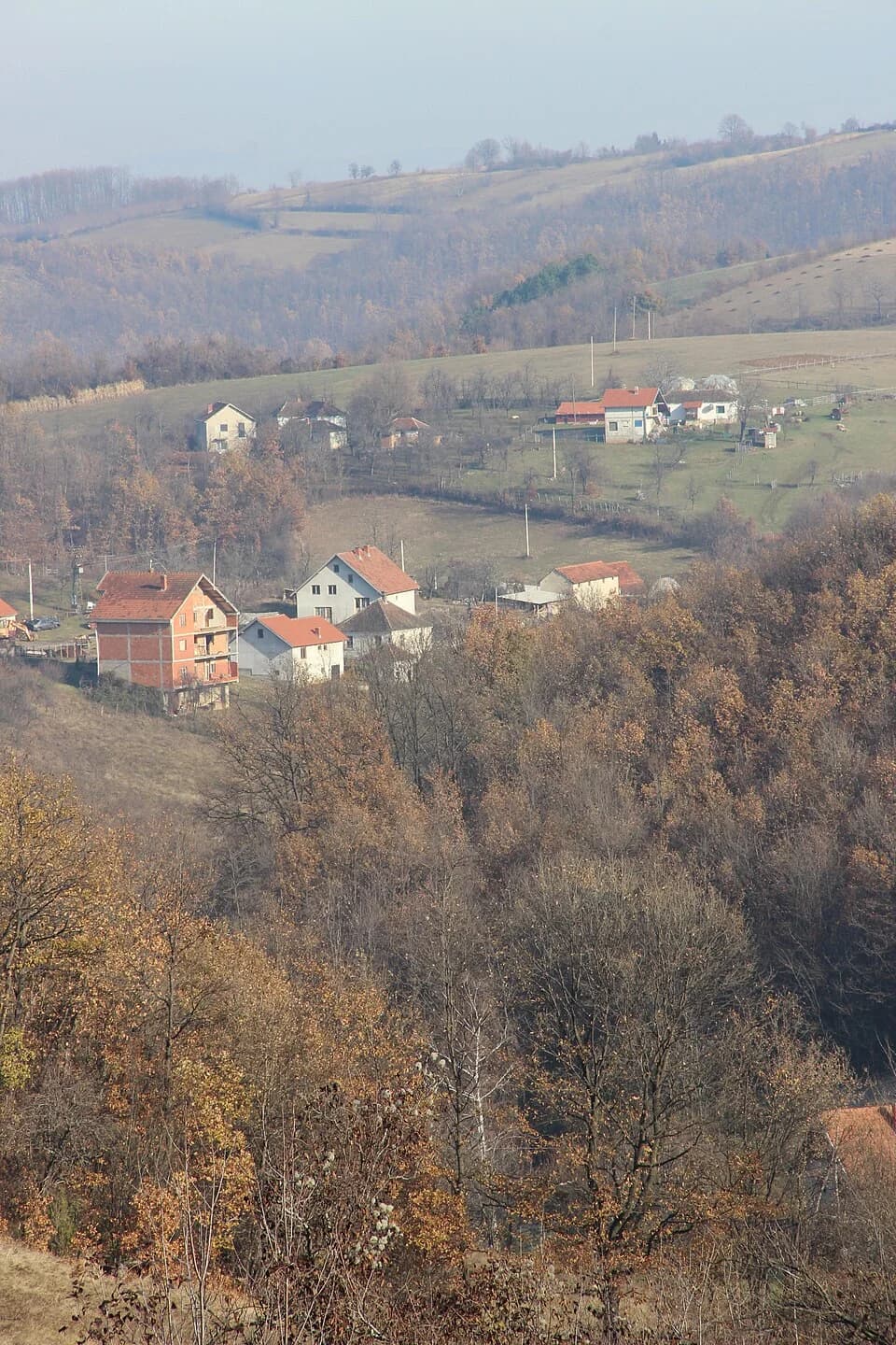 Paklje