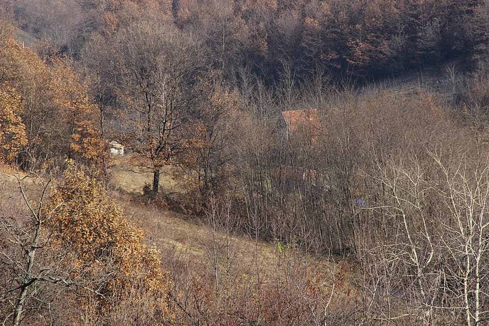 Paklje