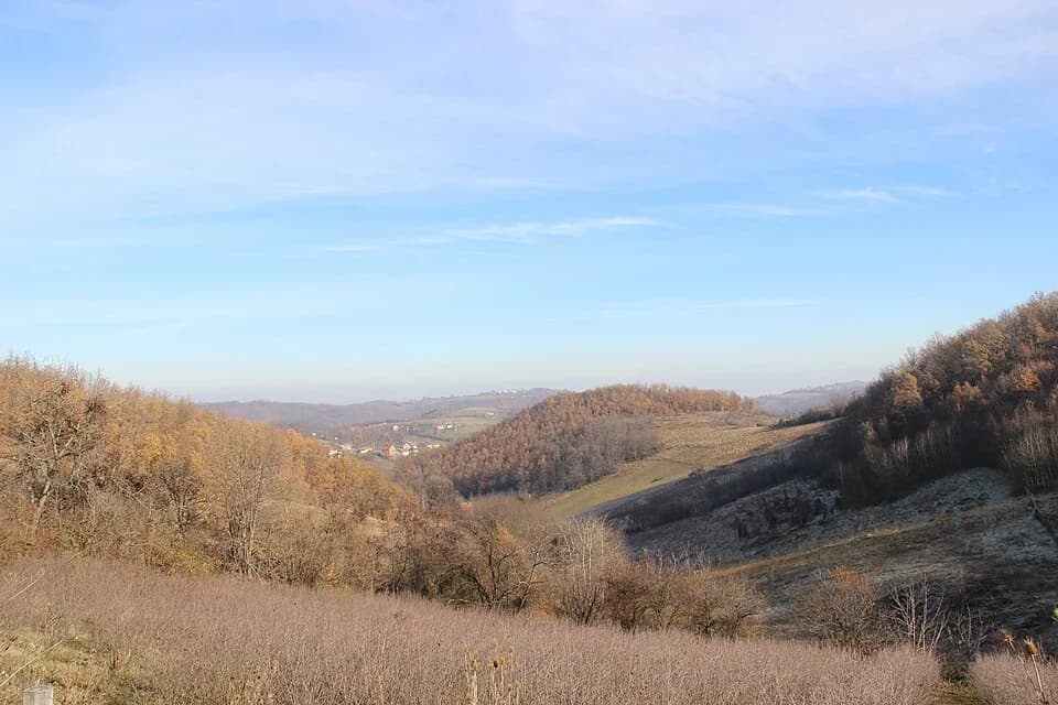Paklje