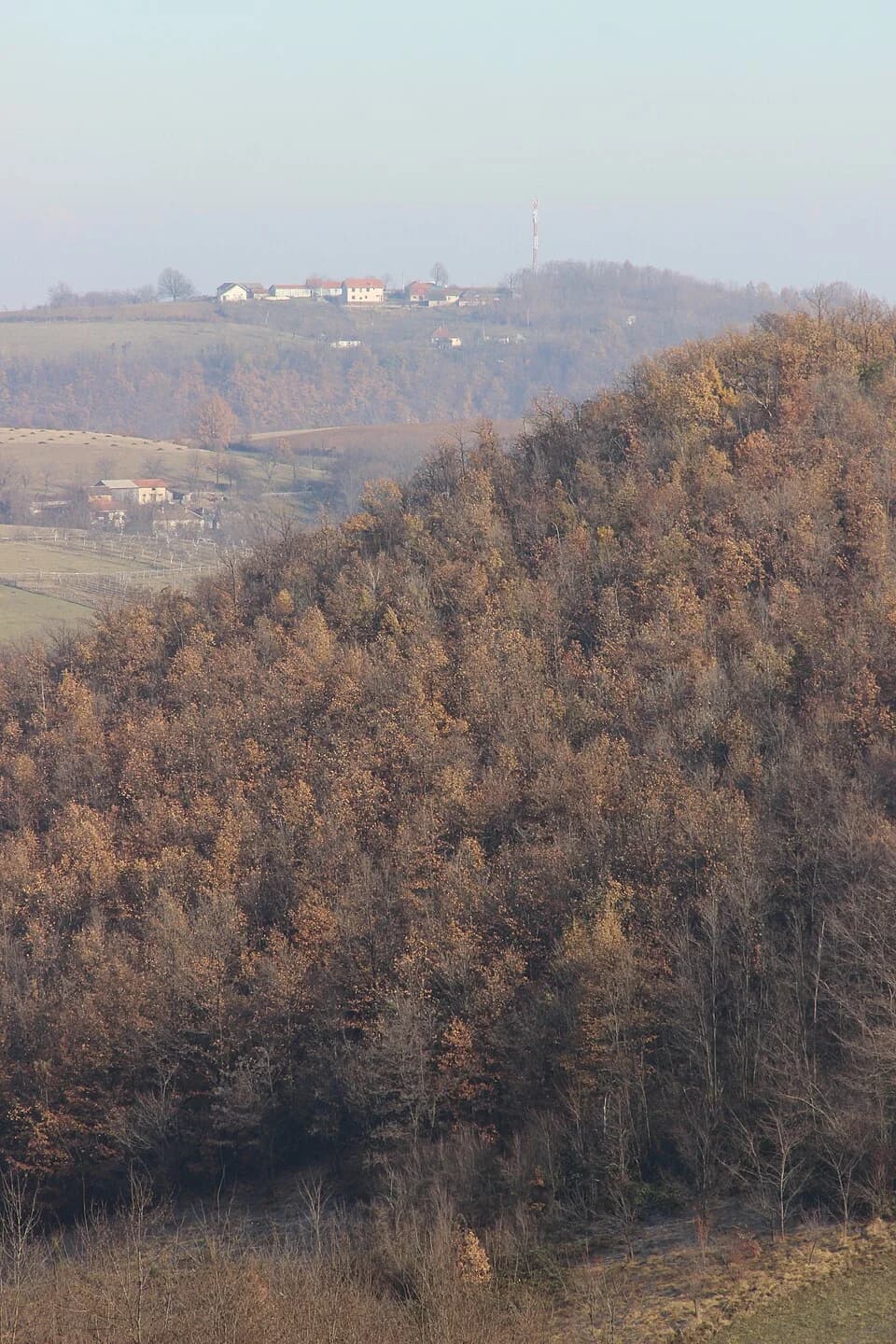 Paklje