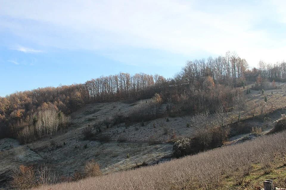 Paklje