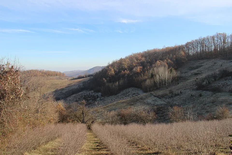 Paklje