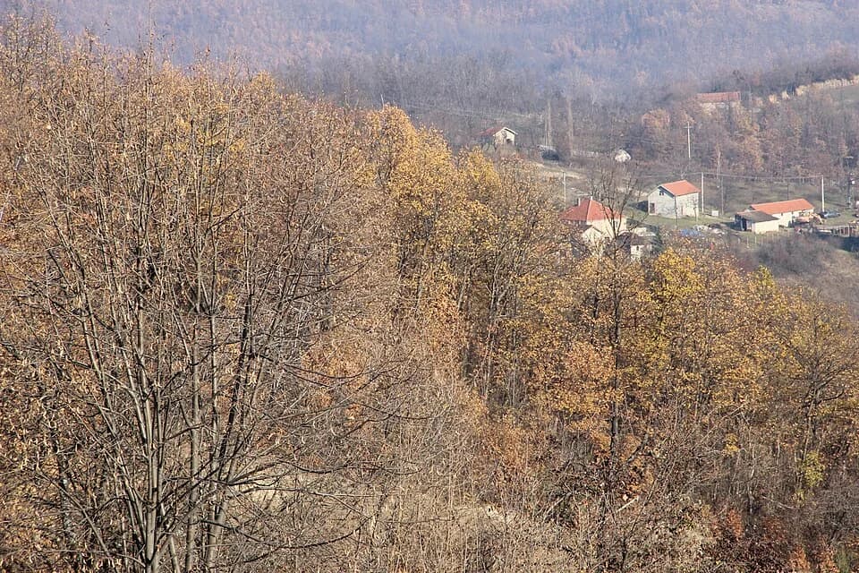 Paklje