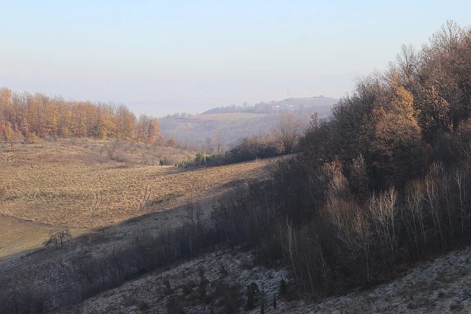 Paklje