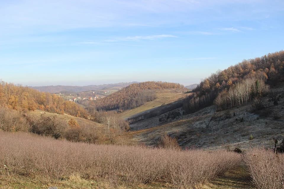 Paklje