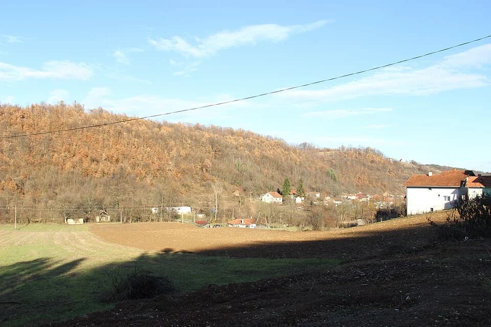 Sedlari