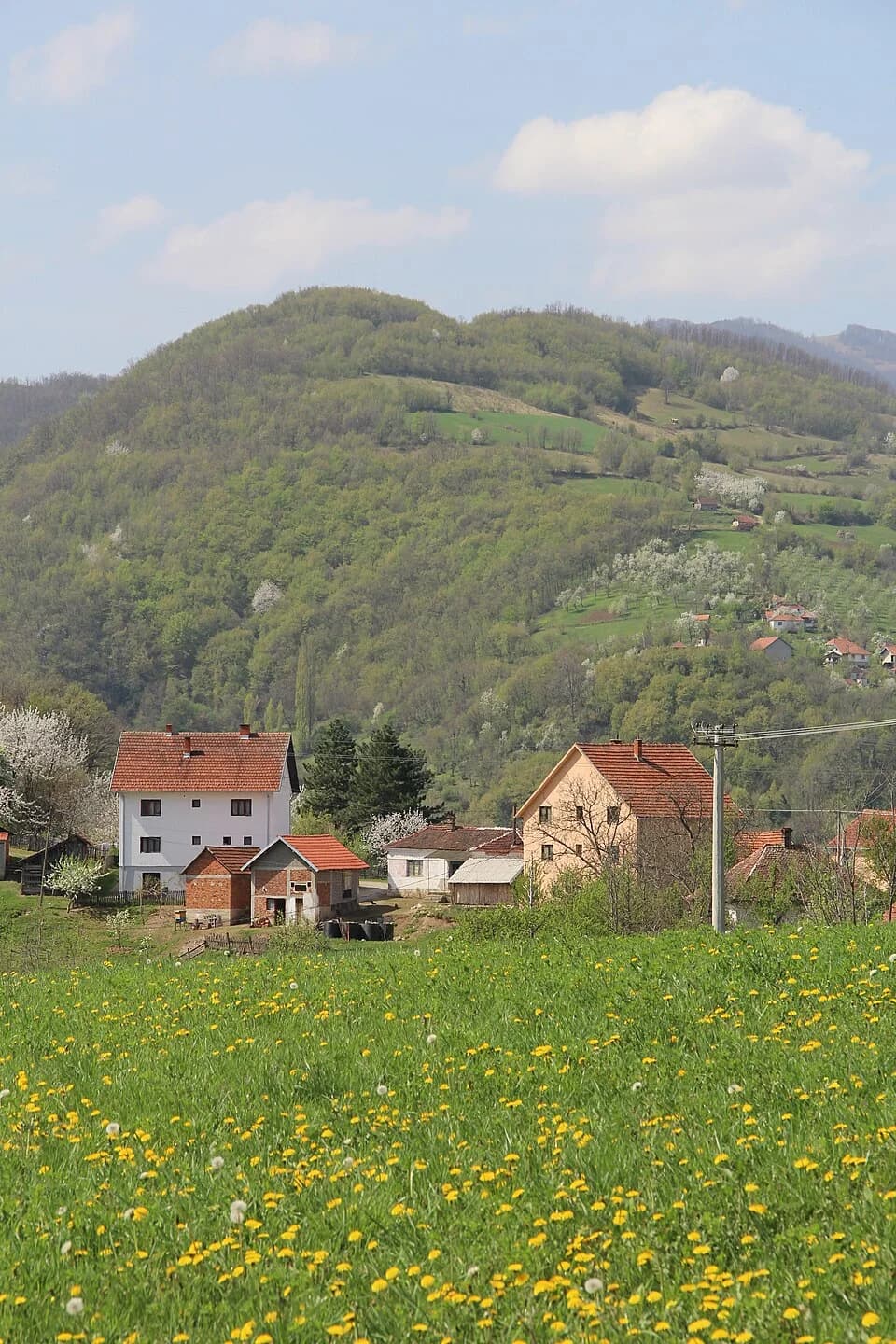 Tubravić