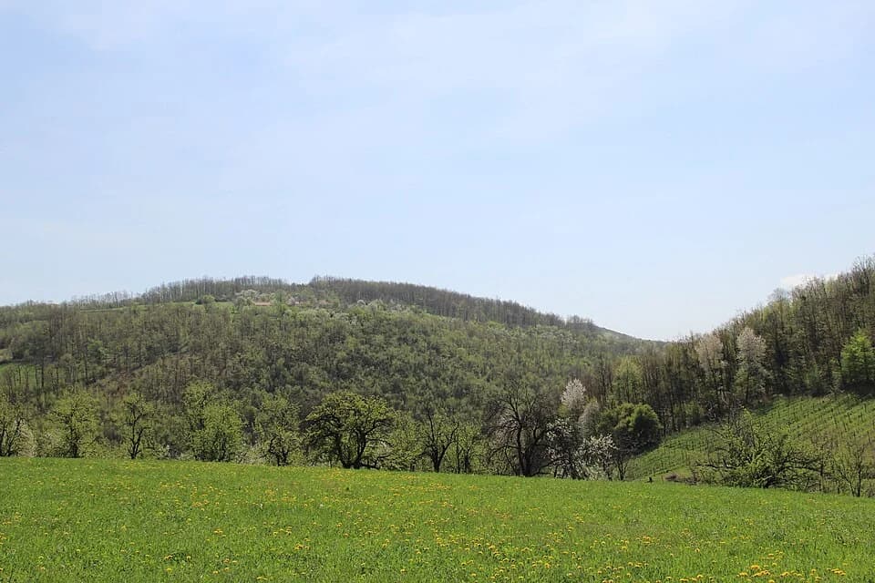 Tubravić