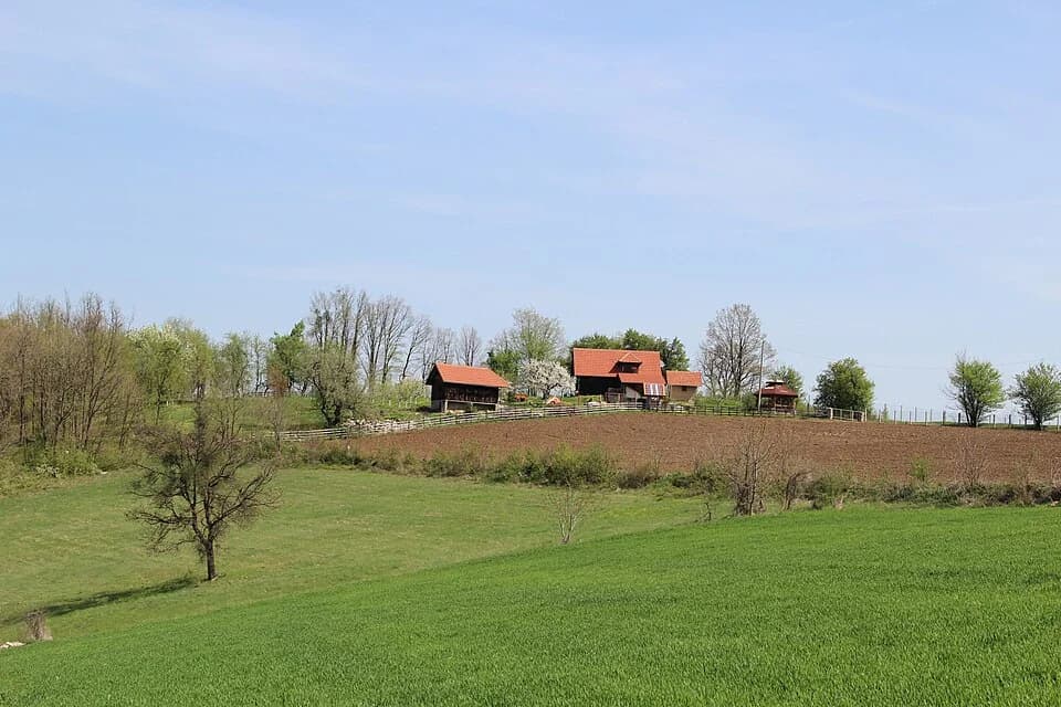 Tubravić