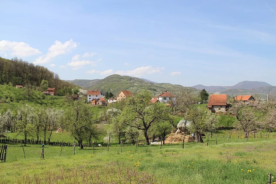 Tubravić