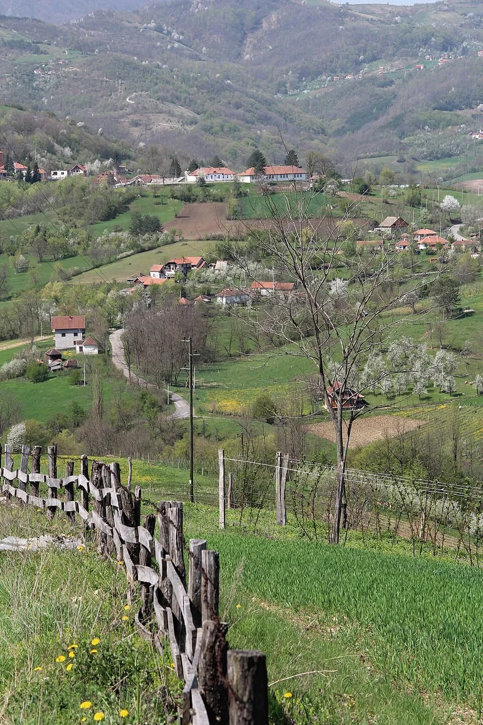 Tubravić