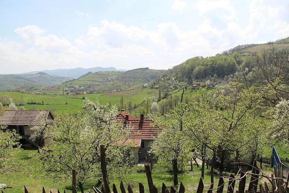 Mijači