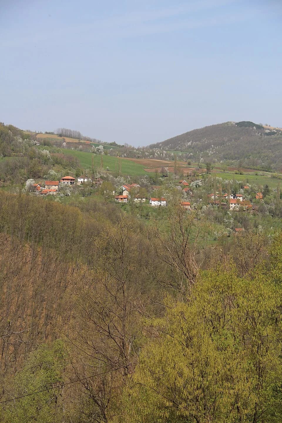 Mijači