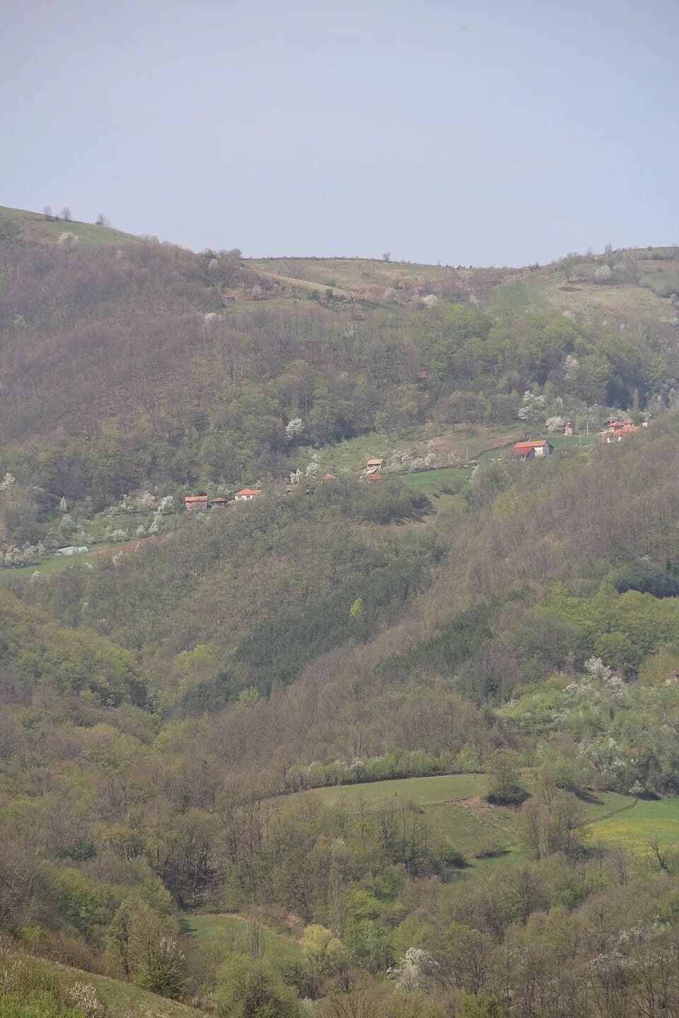 Mijači