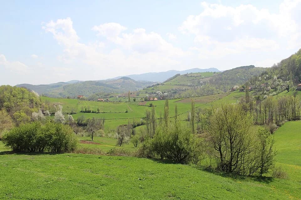 Mijači
