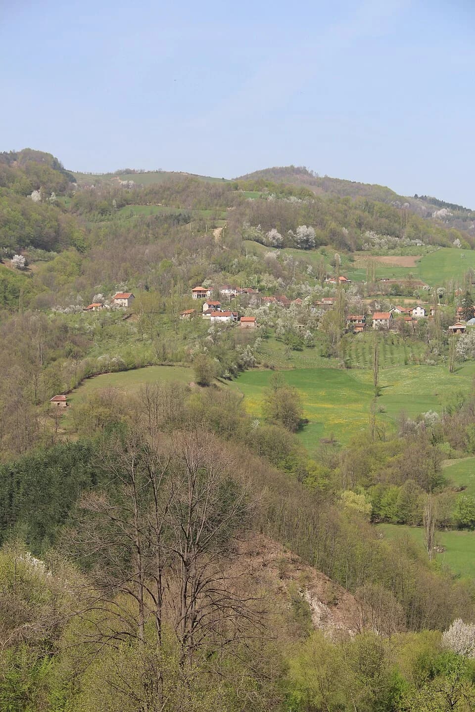 Mijači