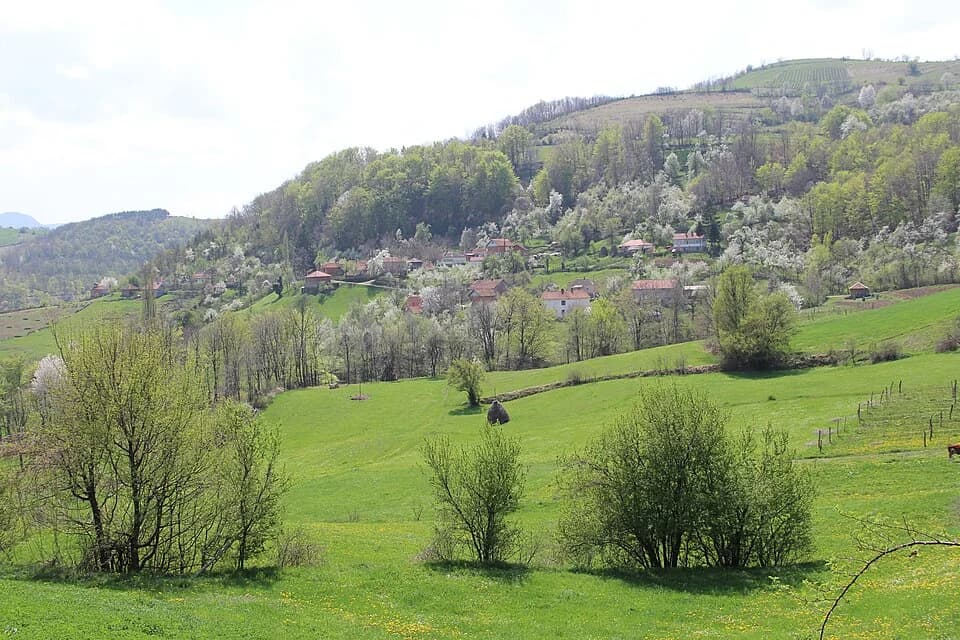 Mijači