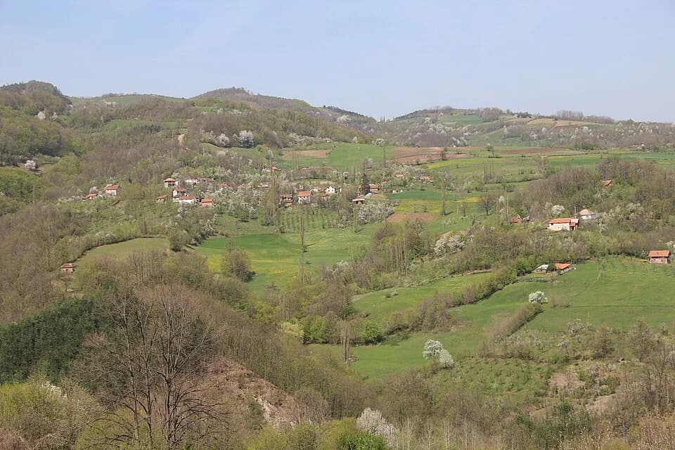 Mijači