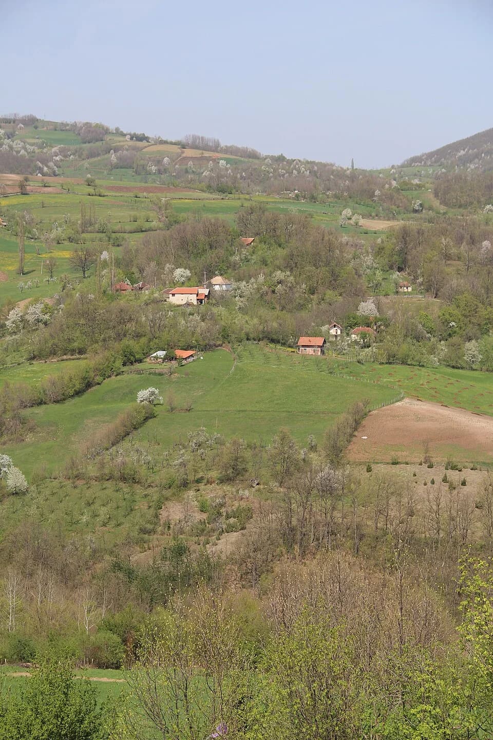 Mijači