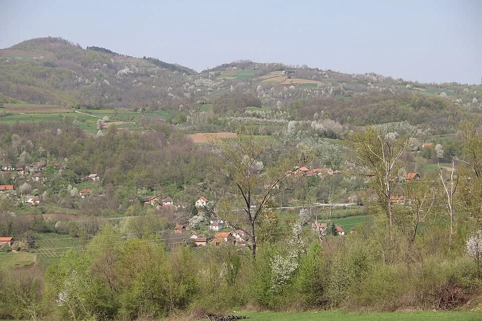 Mijači