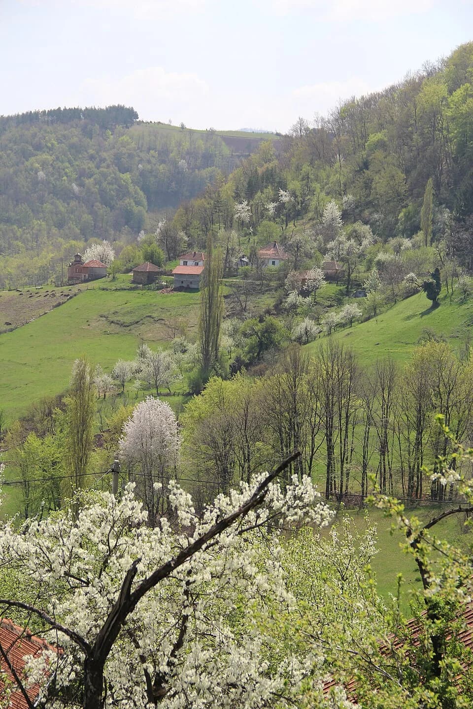 Mijači