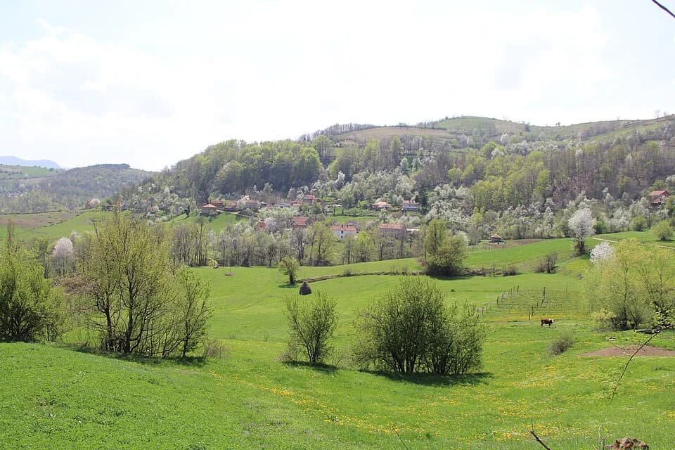 Mijači
