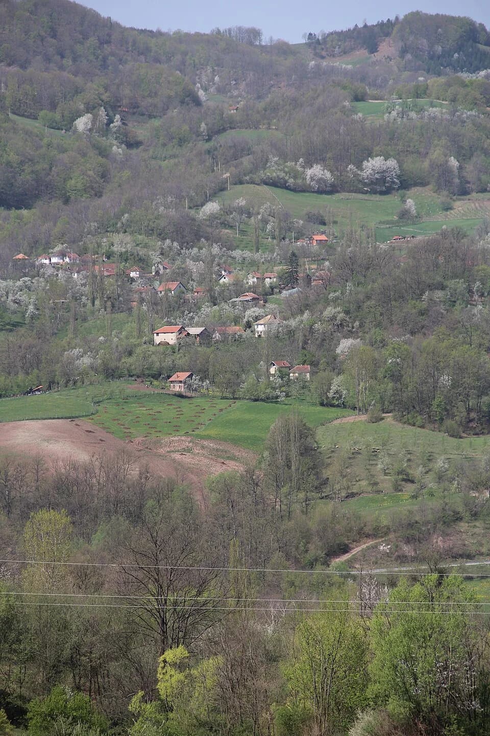 Mijači