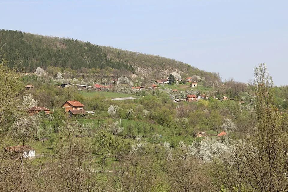 Kunice