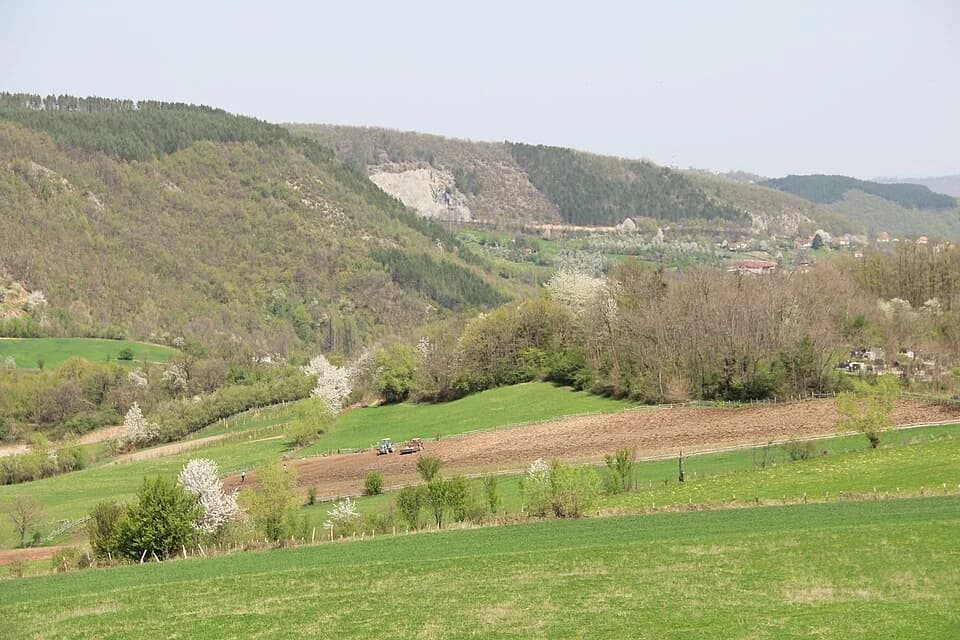 Sovač