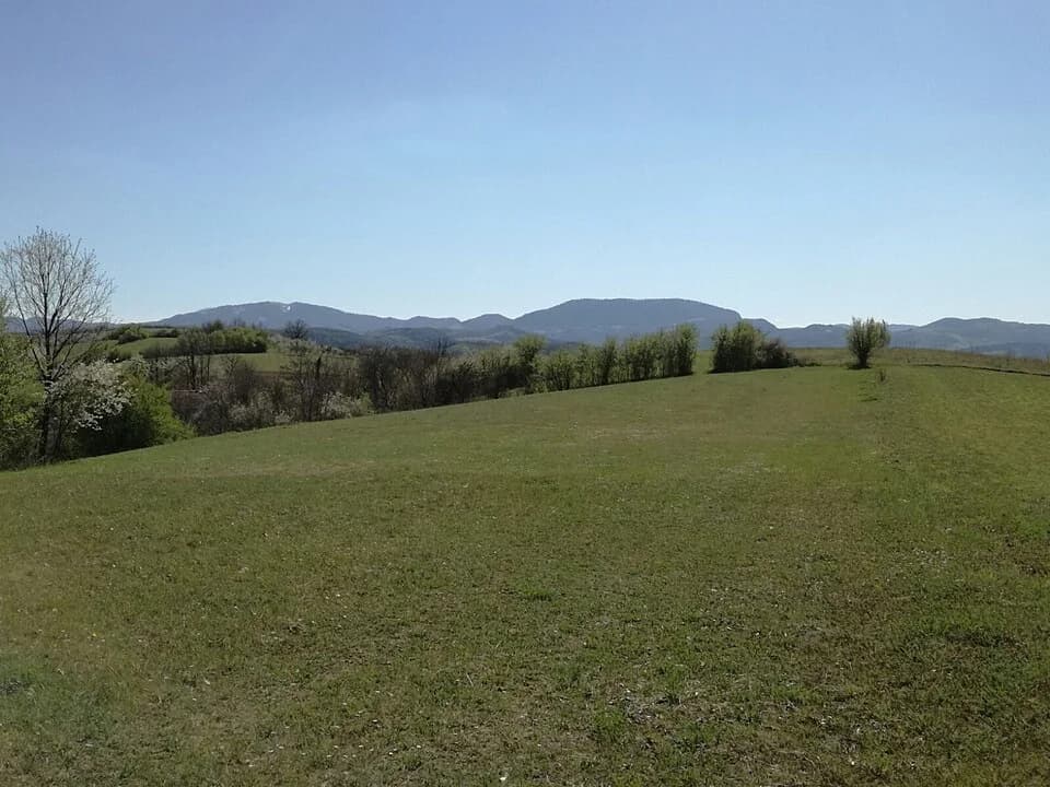 Majinović