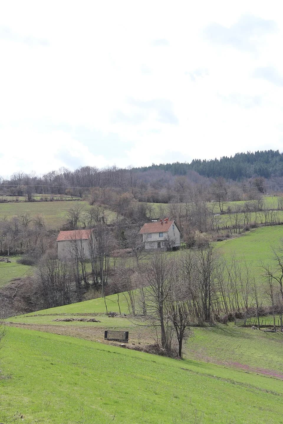 Donje Leskovice