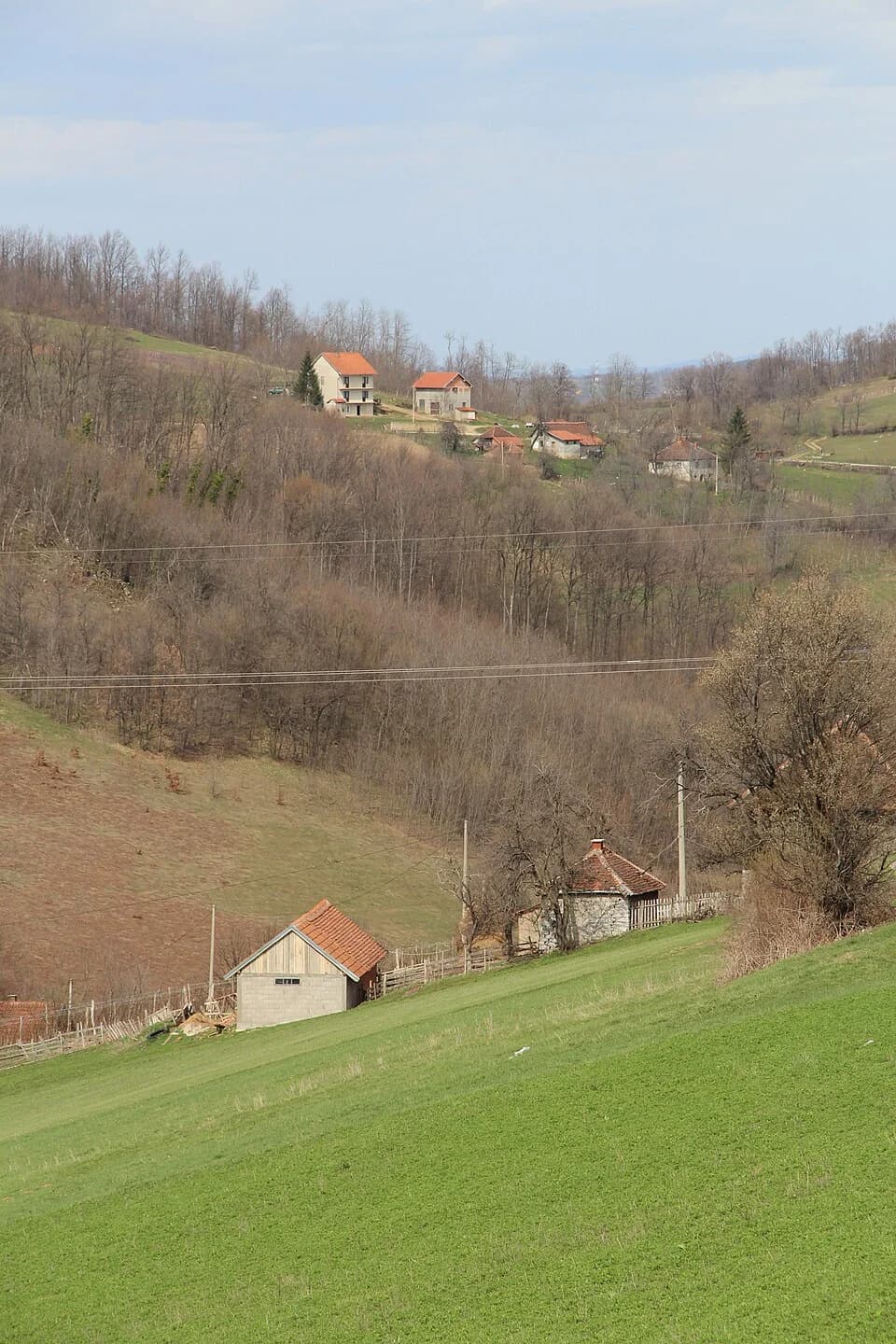 Donje Leskovice