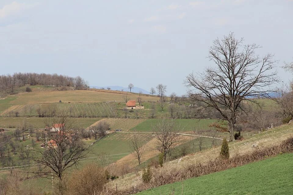 Donje Leskovice