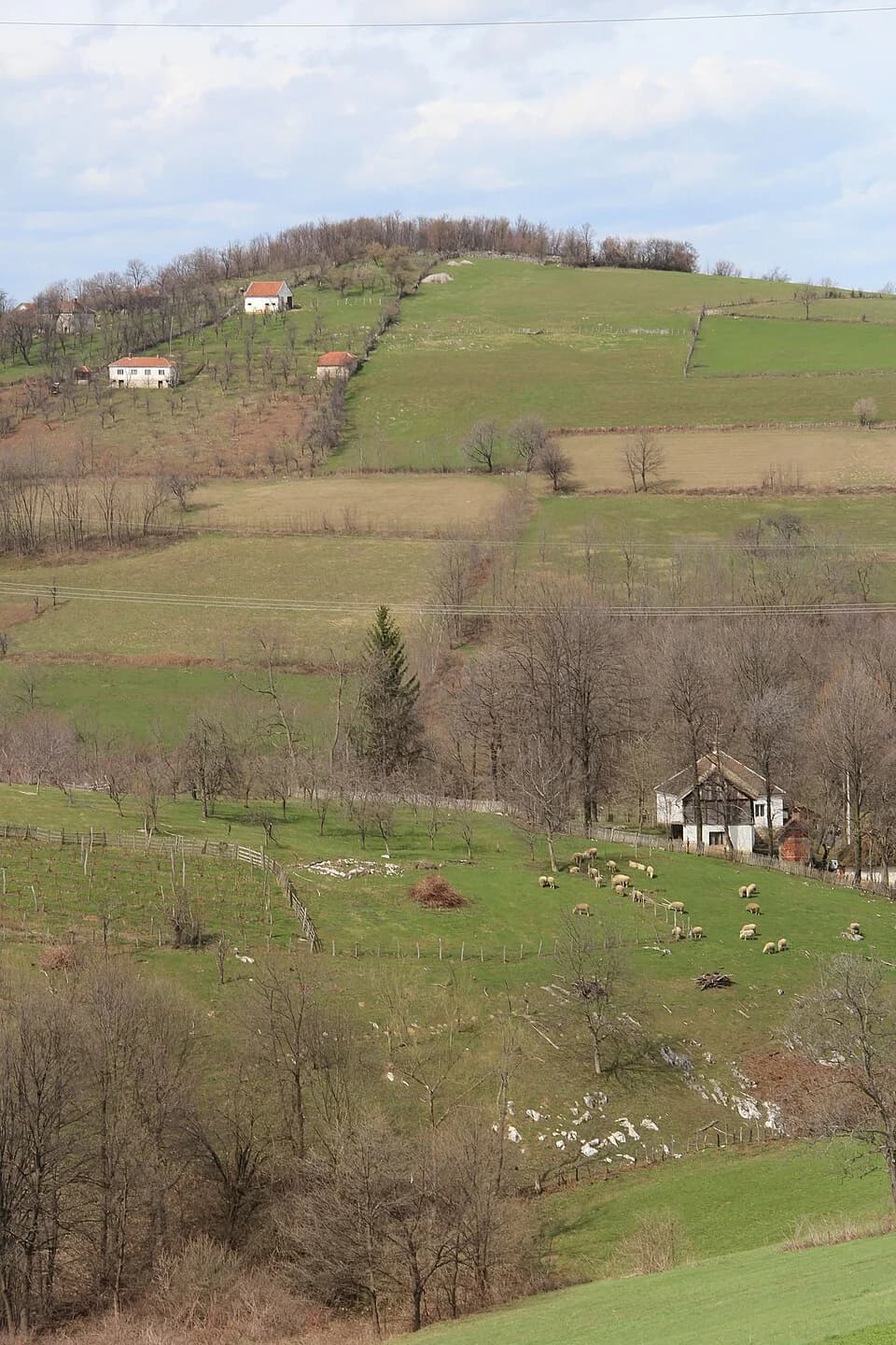 Donje Leskovice